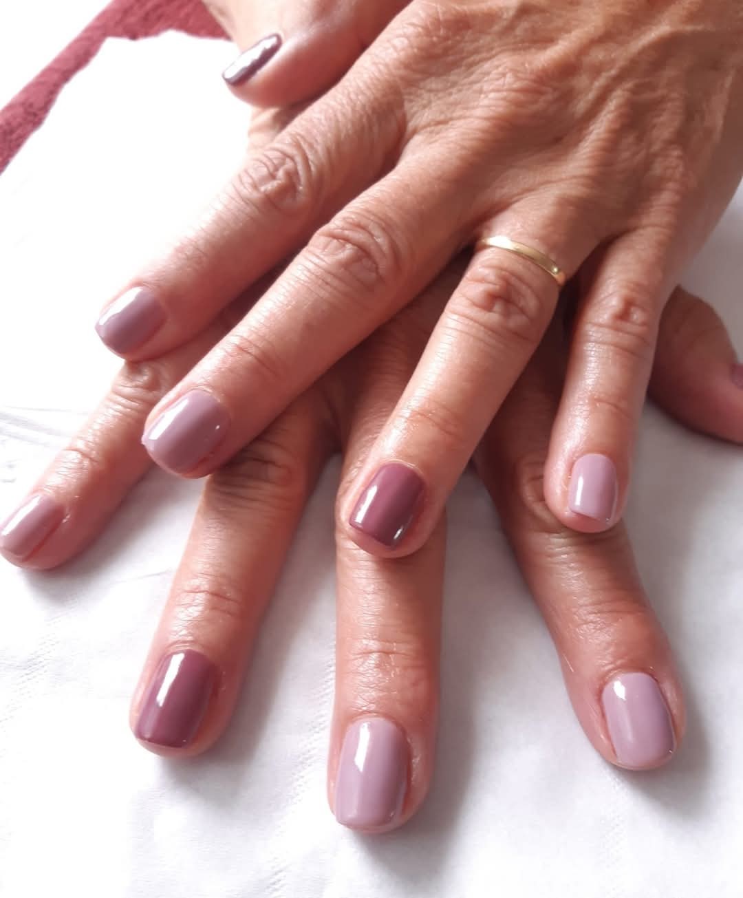 Vsp dream/rose troublant/venus